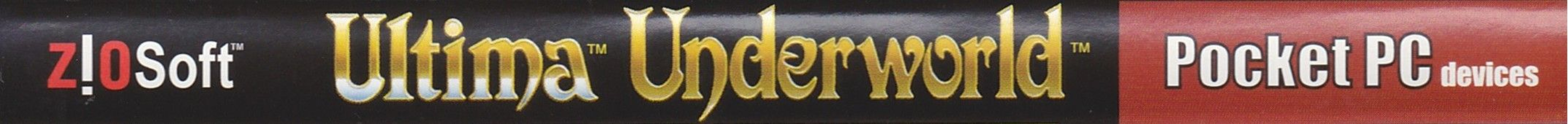 Side of Ultima Underworld: The Stygian Abyss